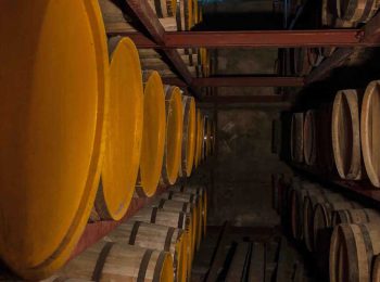 Mandalay Beverages Enterprise Co., Ltd