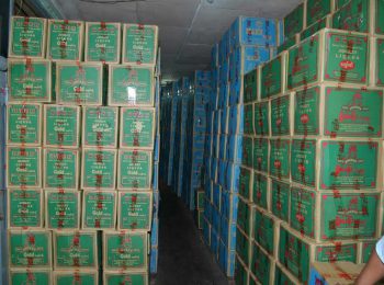 Mandalay Beverages Enterprise Co., Ltd